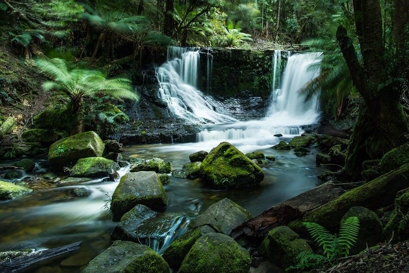 Tasmanian Road Trip - Hobart - Eight Forest Lane