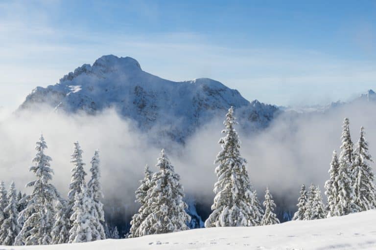 Journey Through The Clouds: A Trip On The Tegelbergbahn - Eight Forest Lane