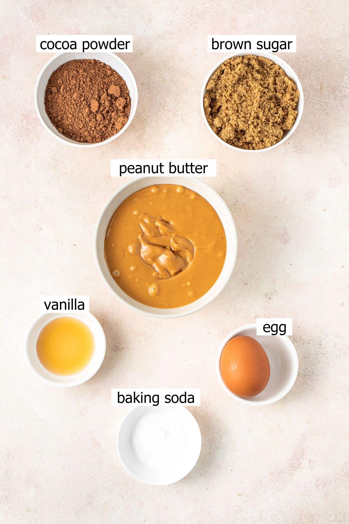 All ingredients needed to make chocolate peanut butter cookies laid out in bowls.