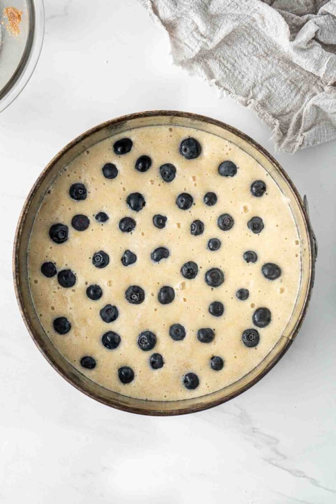 Blueberries dotted in the cake batter.