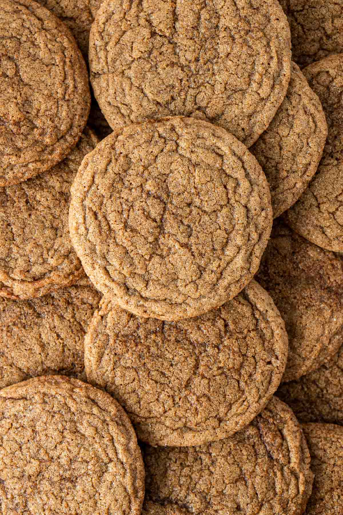 Close up of ginger snap biscuits.