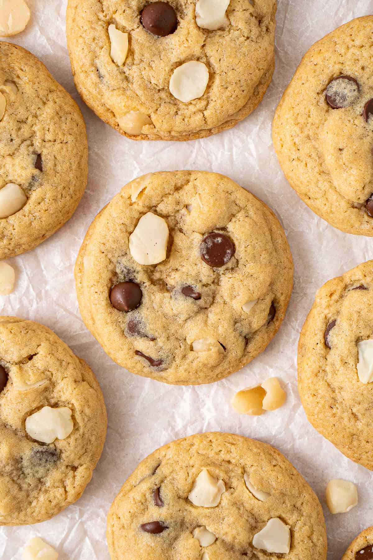 Chocolate macadamia cookies.