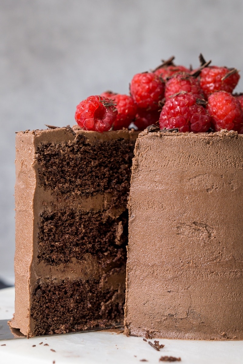 Slice cut of chocolate and coconut cake with raspberries