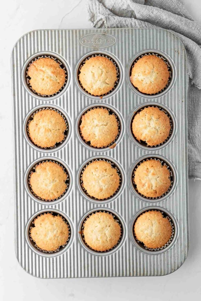 Vanilla cupcakes freshly baked in a muffin pan.