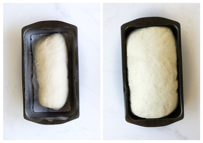 Bread dough rising in a loaf pan