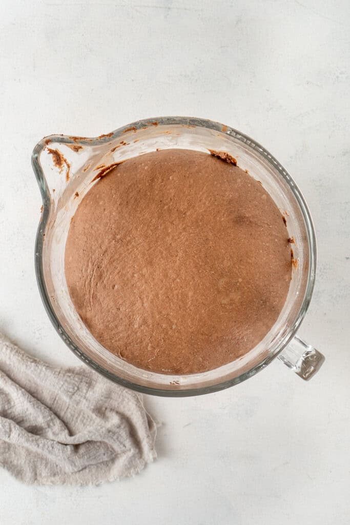 The dough in the bowl after the first rise.