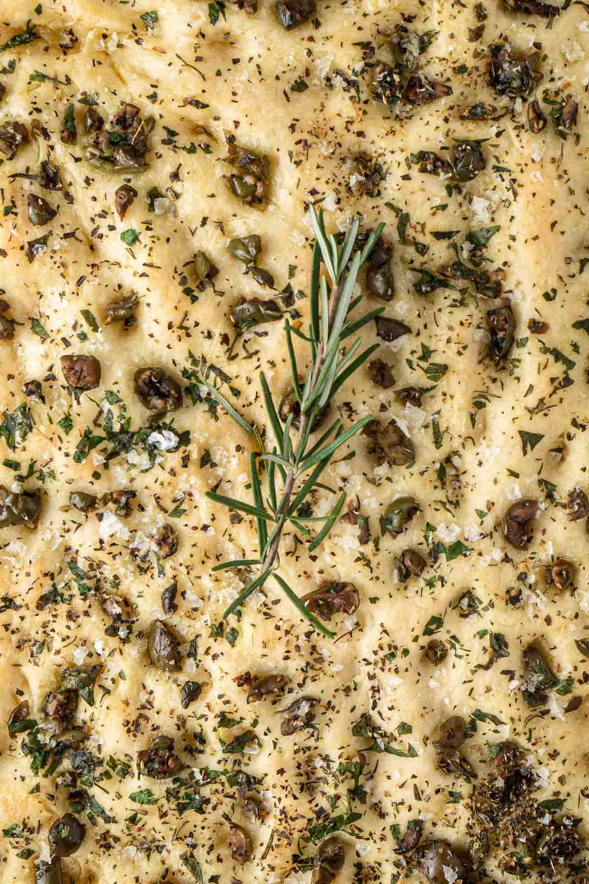 Close up of the olive and herb topping of the focaccia with a sprig of rosemary.