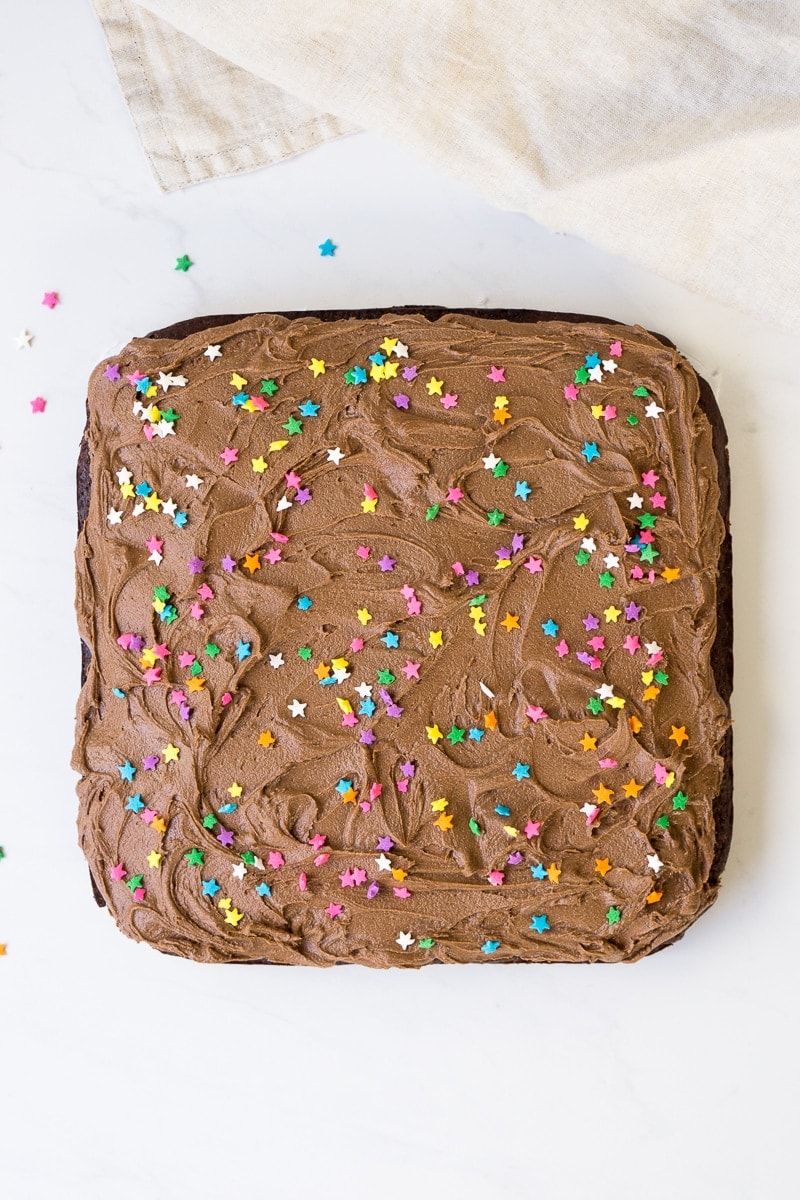 Square vegan chocolate cake with sprinkles