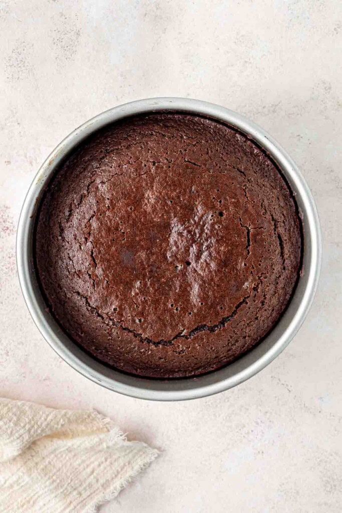Cooked cake in the pan.