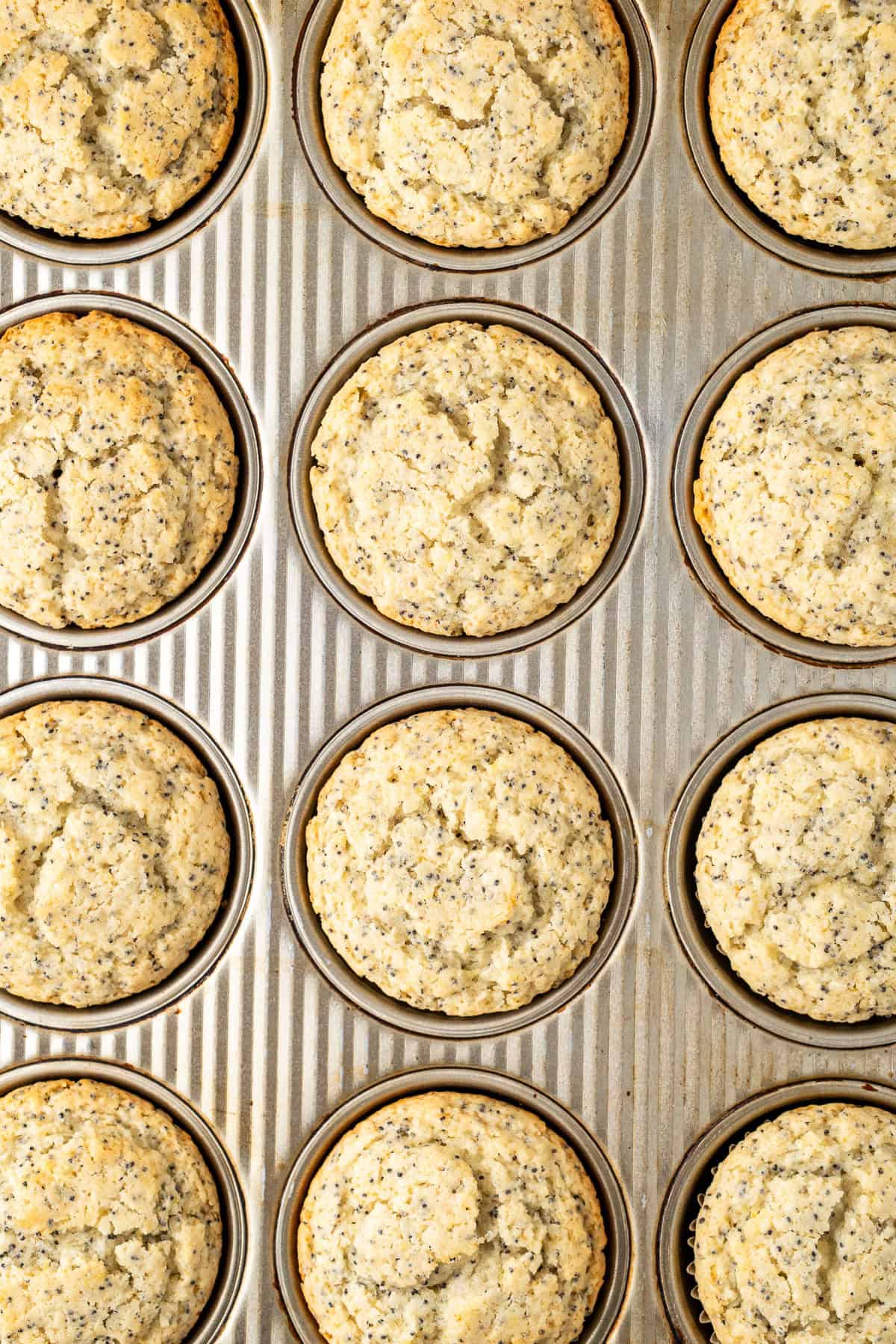 Close up of the baked muffins in the pan.