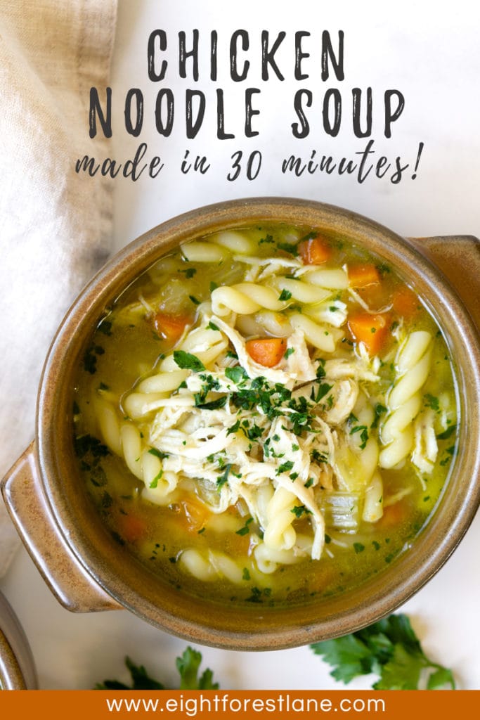 Pressure Cooker Chicken Noodle Soup - Eight Forest Lane
