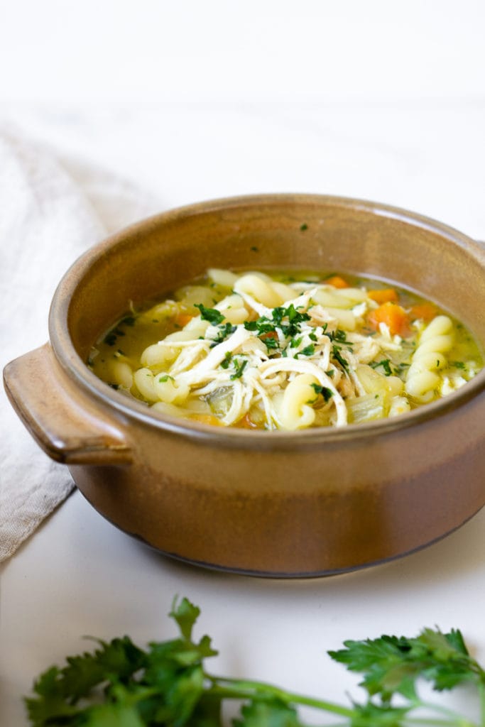 Pressure Cooker Chicken Noodle Soup - Eight Forest Lane