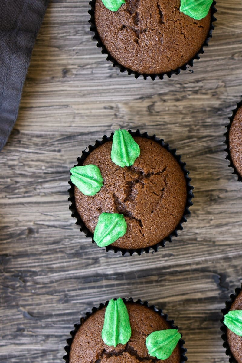 Chocolate gingerbread cupcakes with green leaves