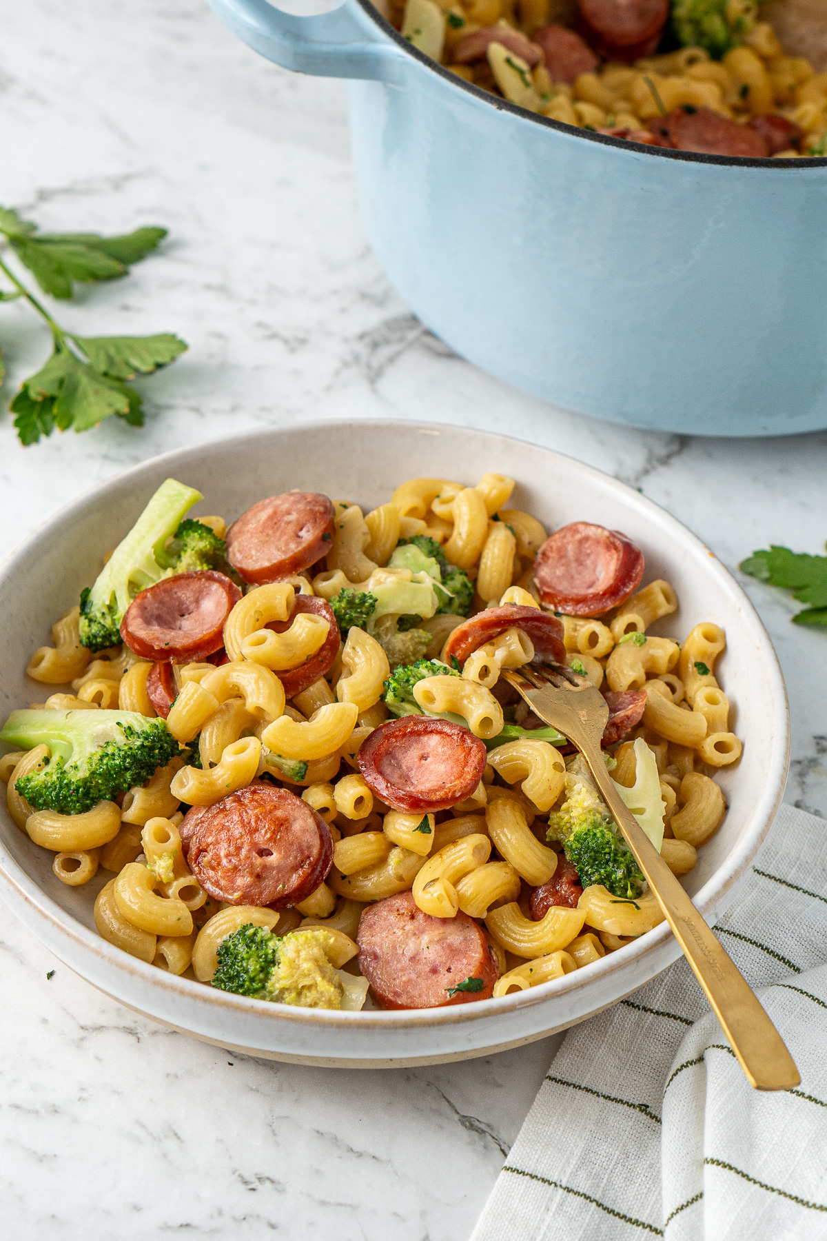 The plate of pasta with the pot in the background.