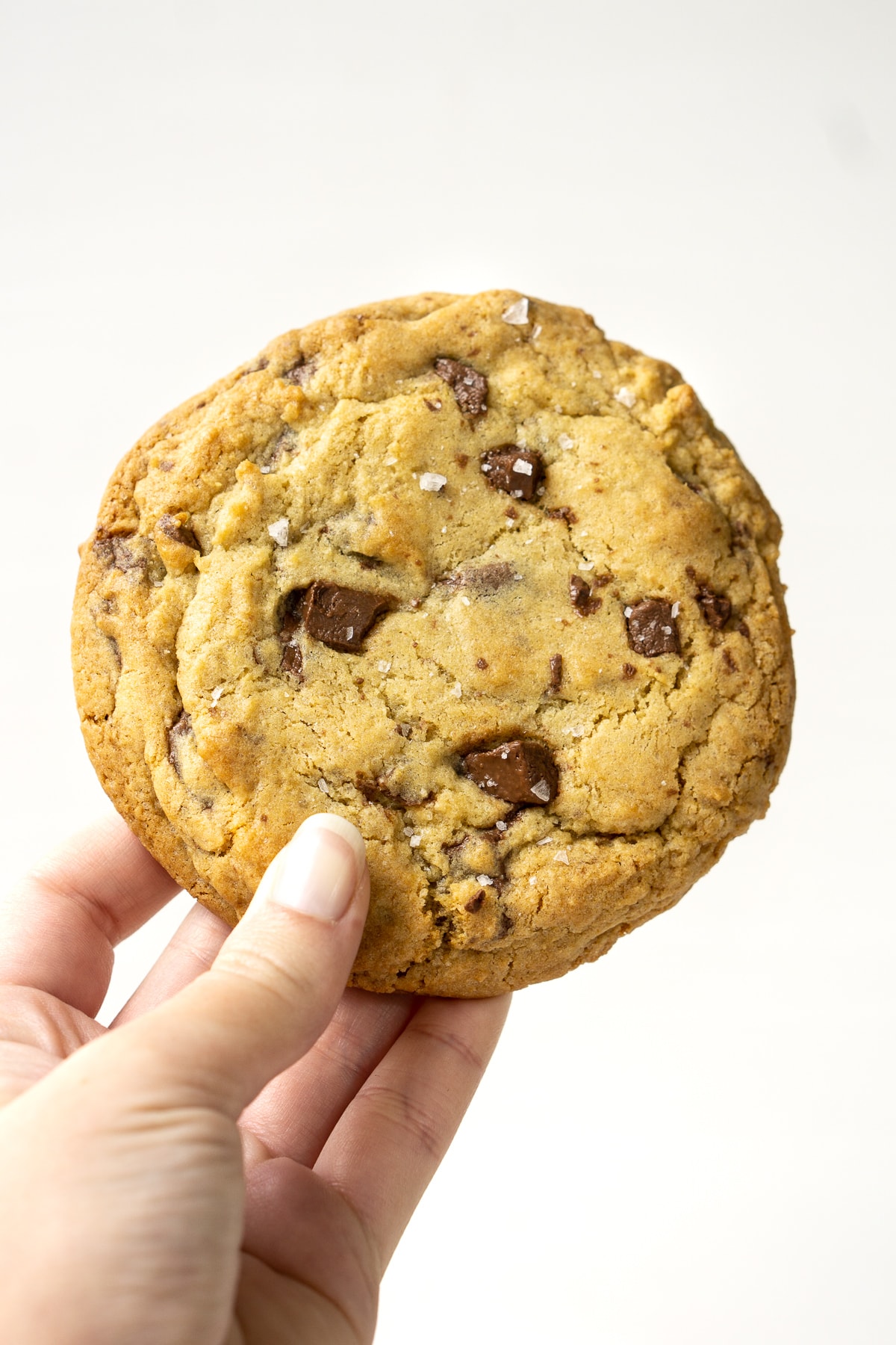 Giant Chocolate Chip Cookie.