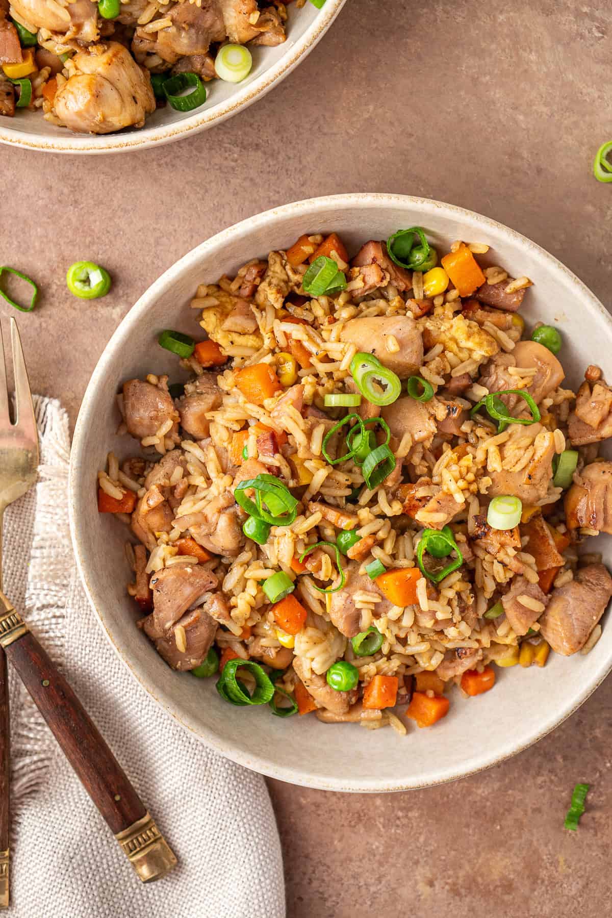 Close up of a bowl of chicken fried rice topped with spring onions.