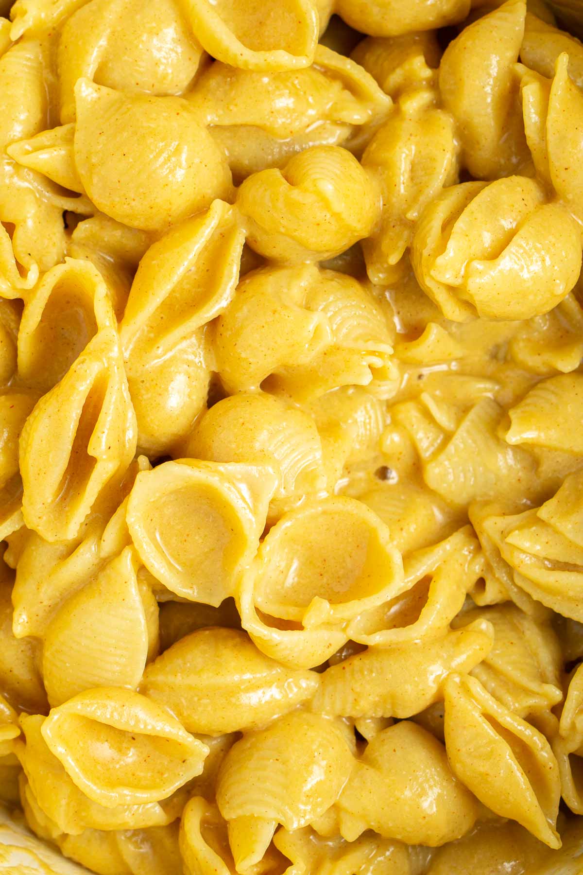 Close up of pasta in creamy dairy-free cheese sauce.