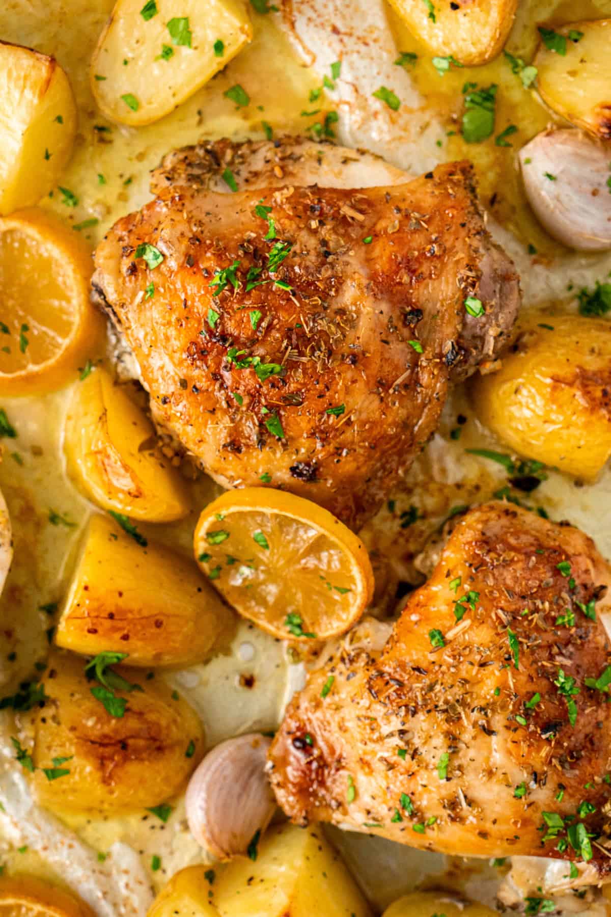Close up of the garlic and lemon roasted chicken on a tray.