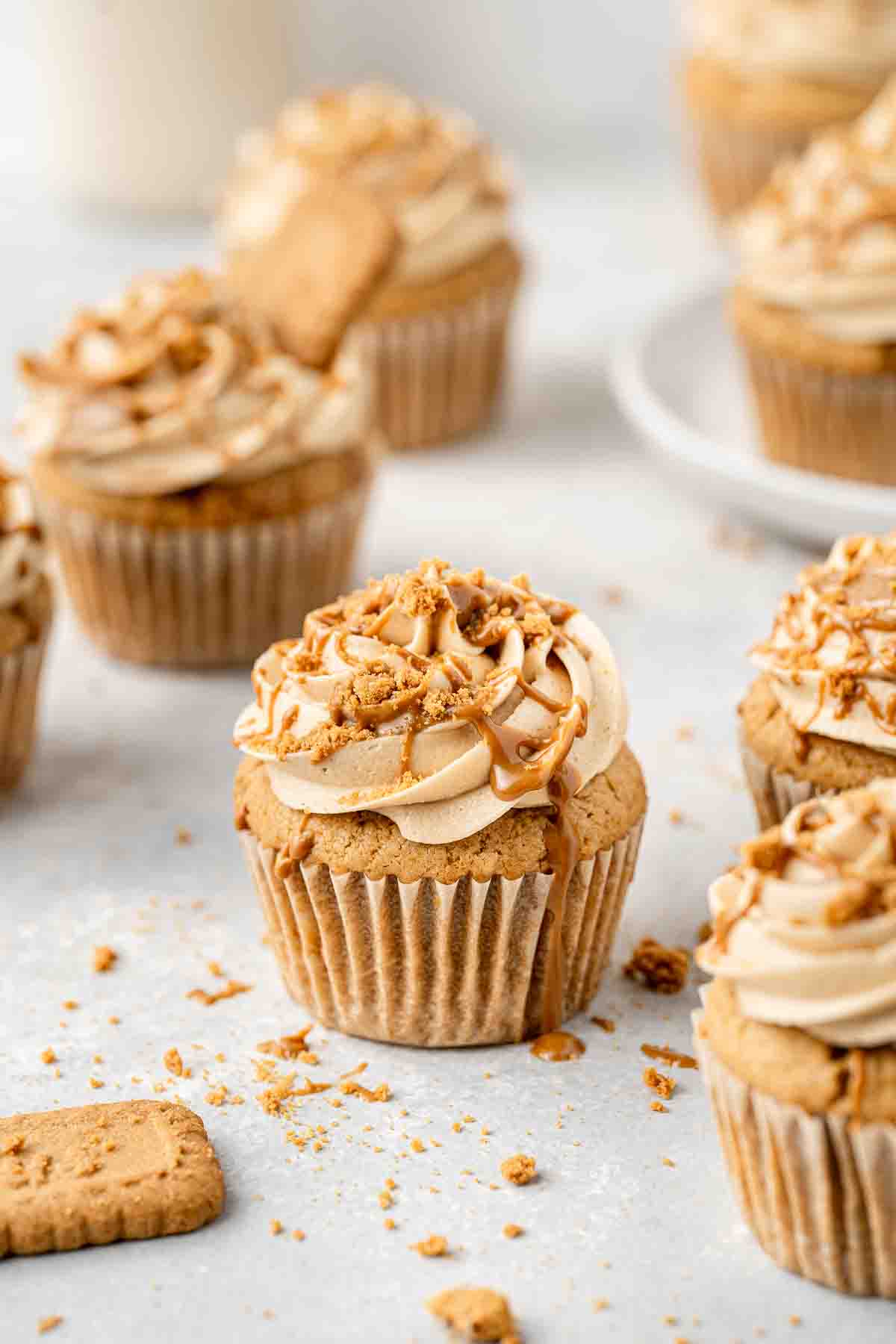 Vegan biscoff cupcakes drizzled in melted biscoff.