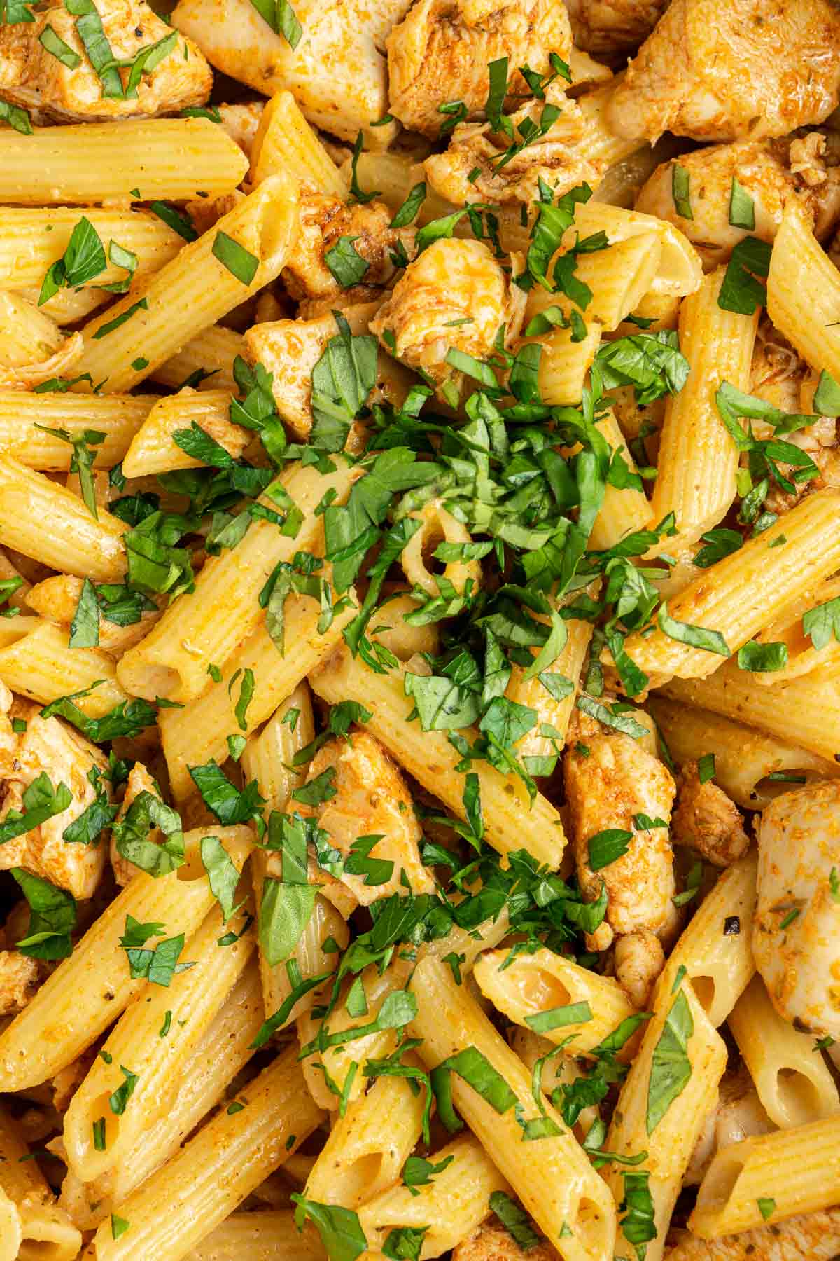 Close up of penne pasta, chicken and fresh herbs.