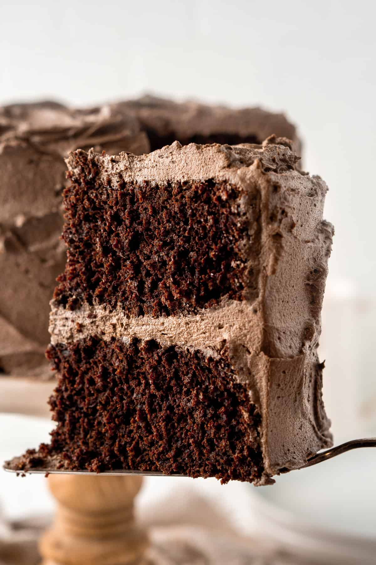 Close up of a slice of cake being served.