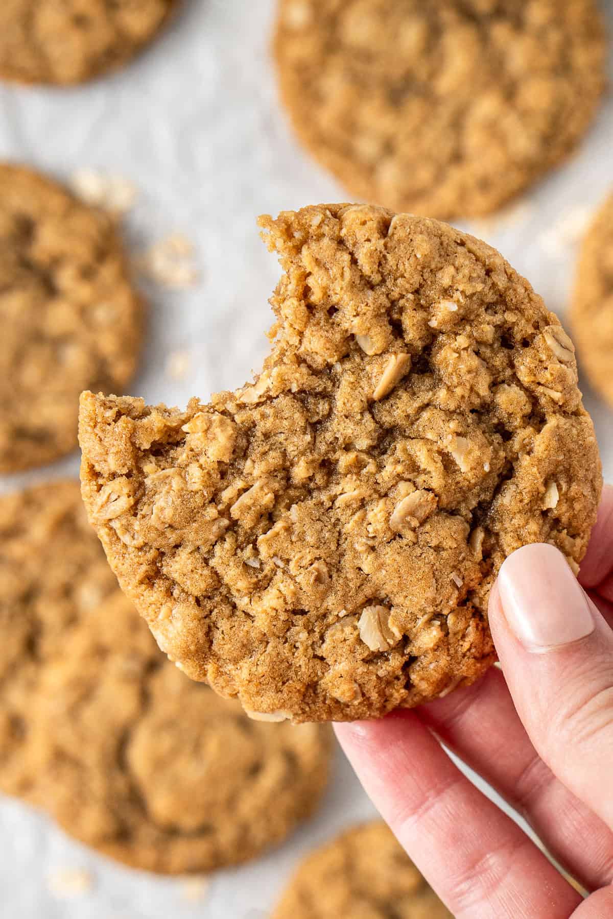 A hand holding an ANZAC biscuit with a bite taken.