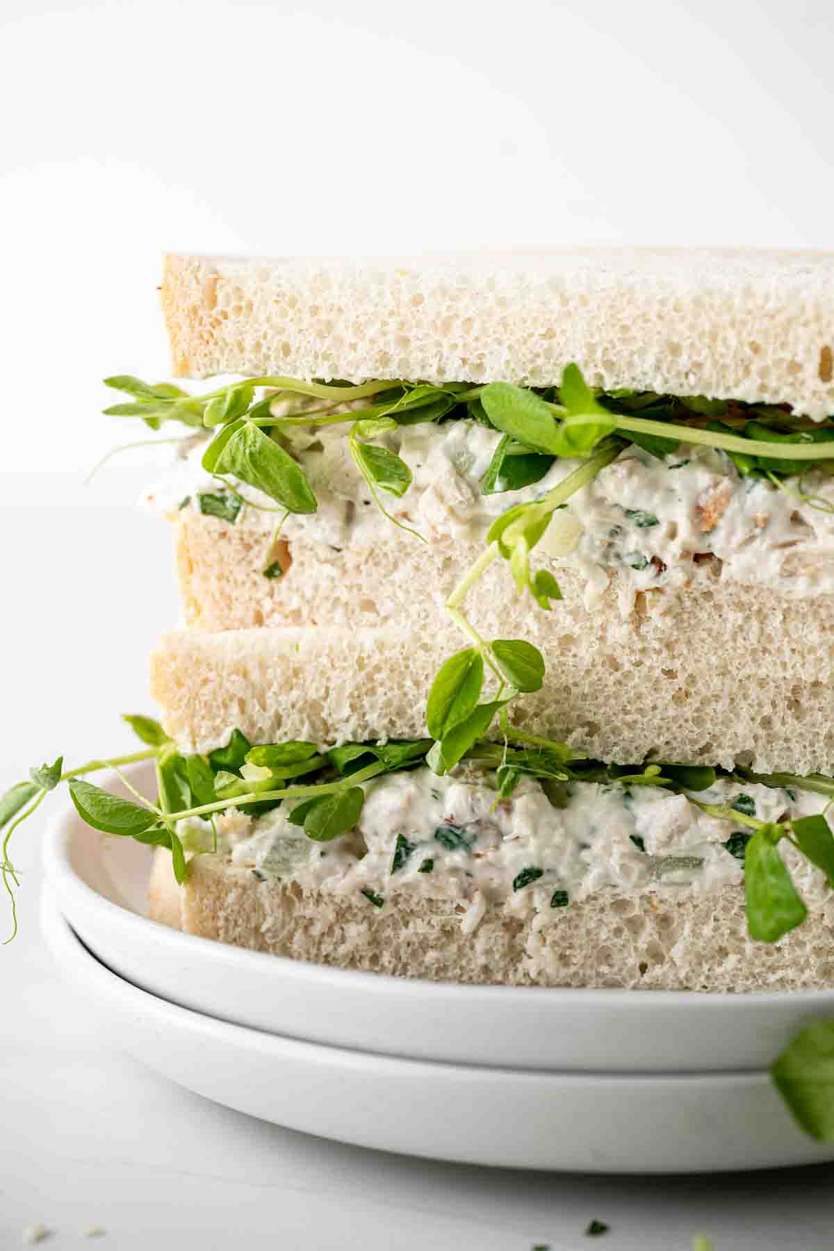 Close up of a cut chicken sandwich with sprouts on a white plate.