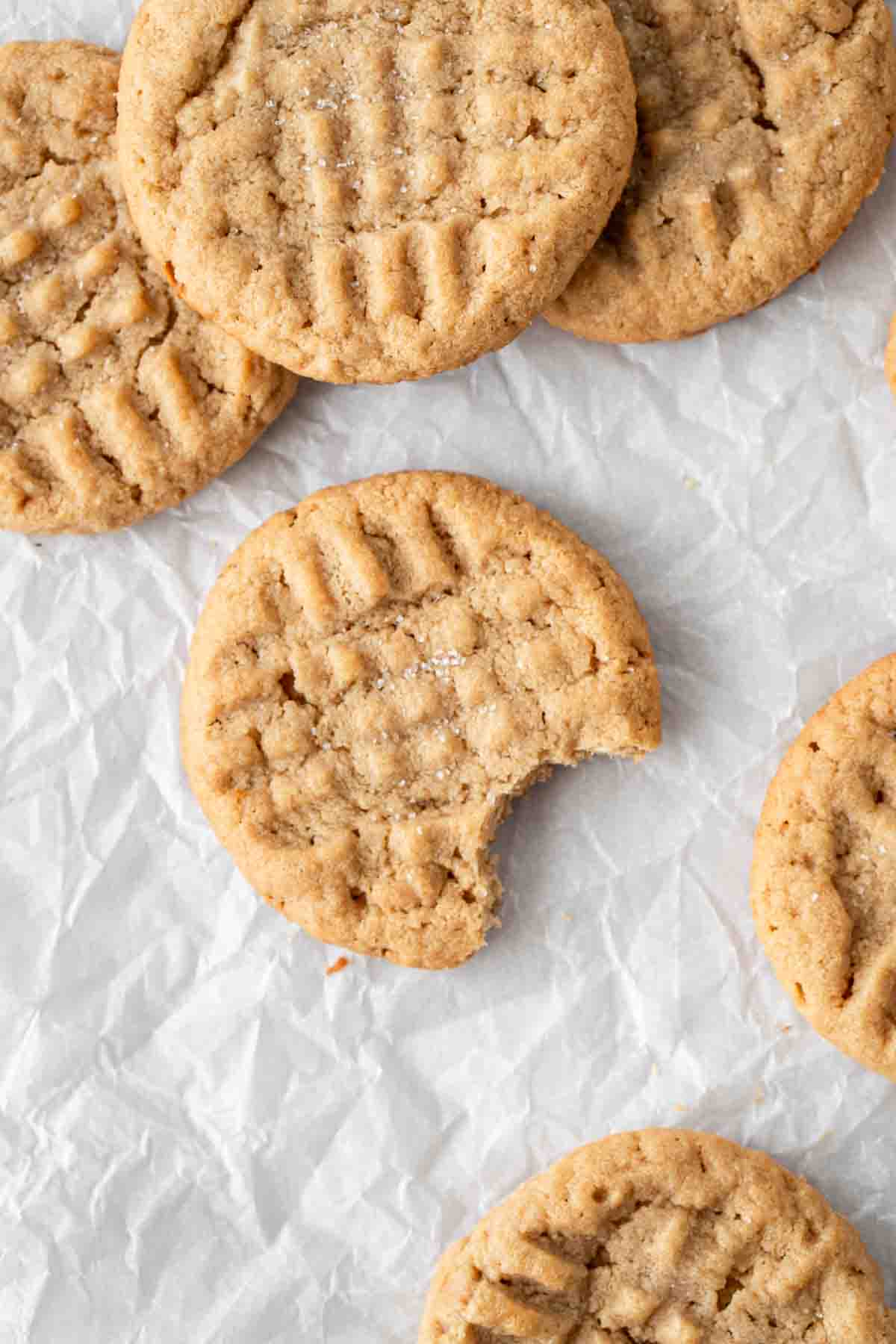 Close up of a peanut butter cookie with a bite taken.