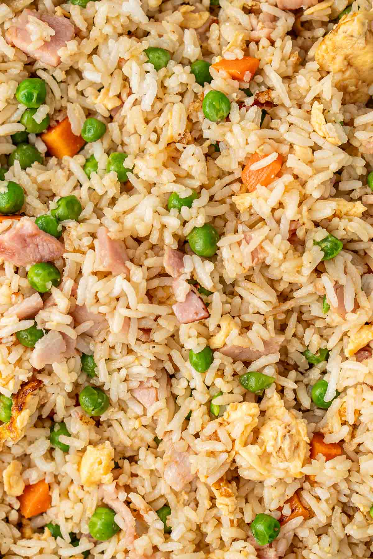 Close up of fried rice.