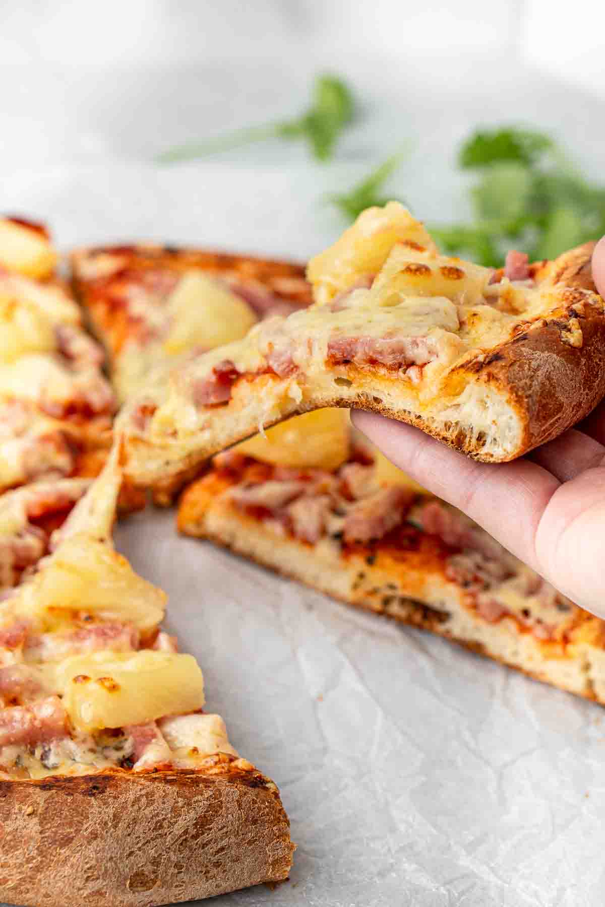 A slice of ham and pineapple pizza. 