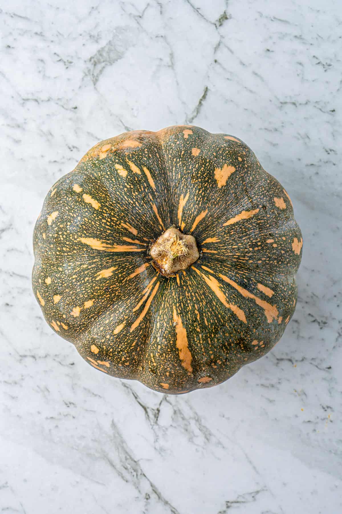 A whole kent pumpkin.