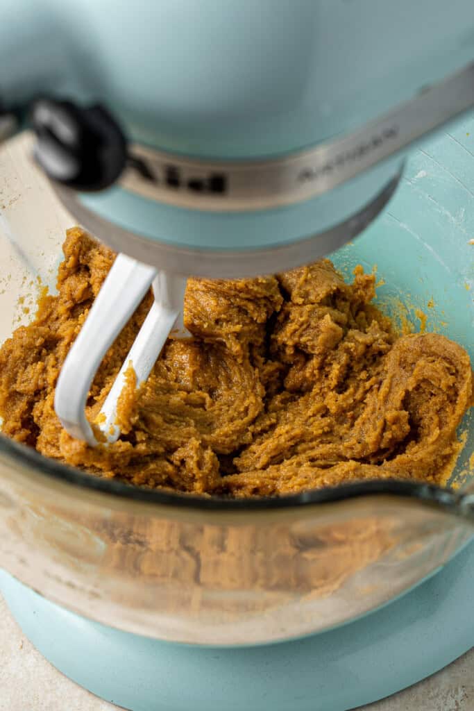 Mixing the cookie dough in a stand mixer.