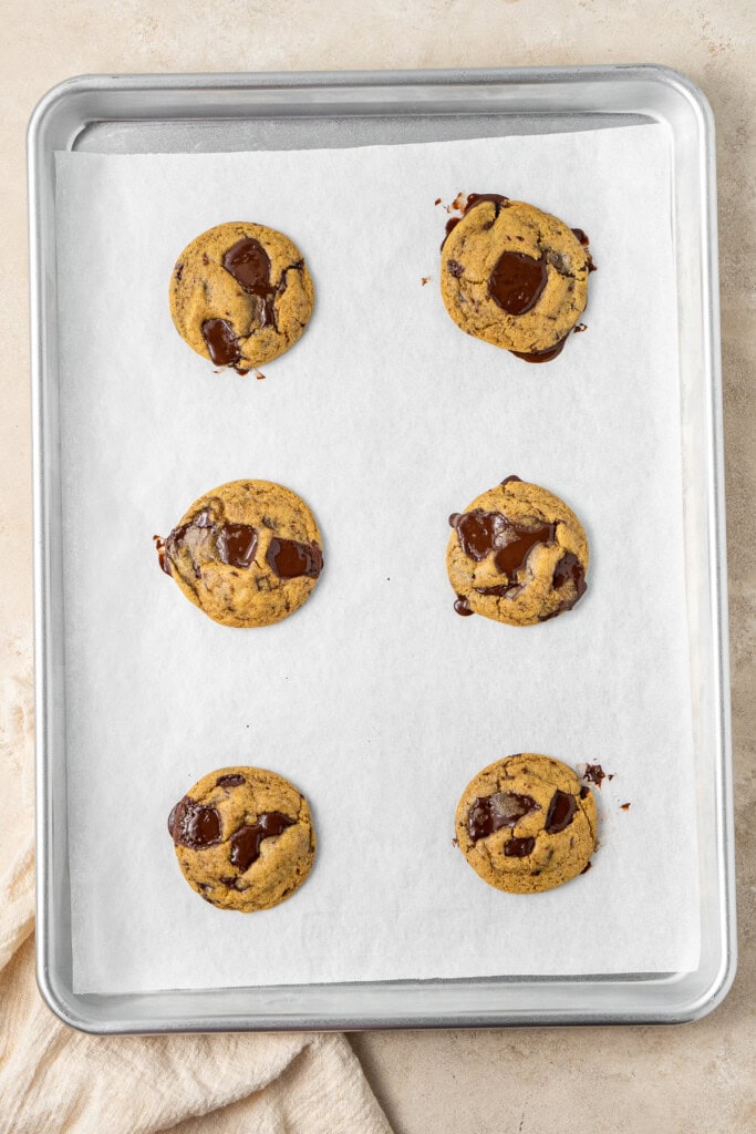 Baked vegan pumpkin chocolate chip cookies on a tray.