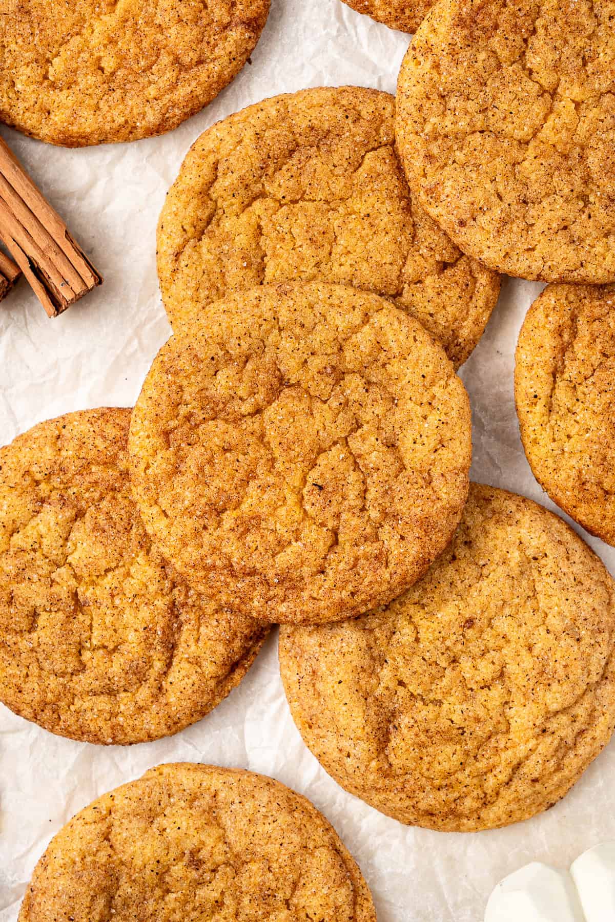 Close up of vegan pumpkin snickerdoodles.