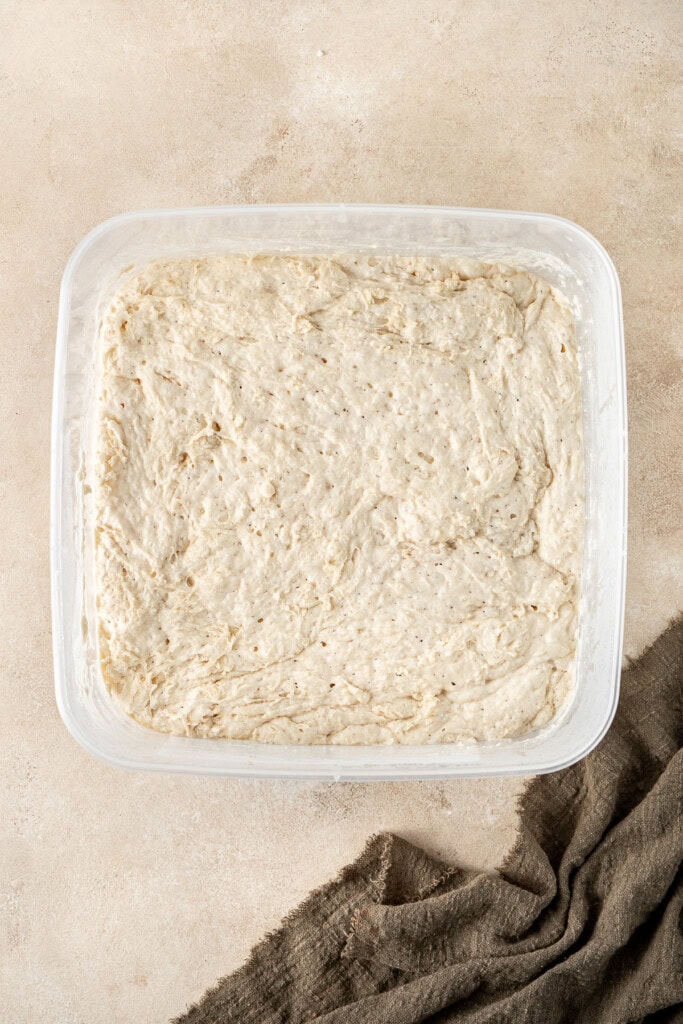 The dough after 18 hours of rise.