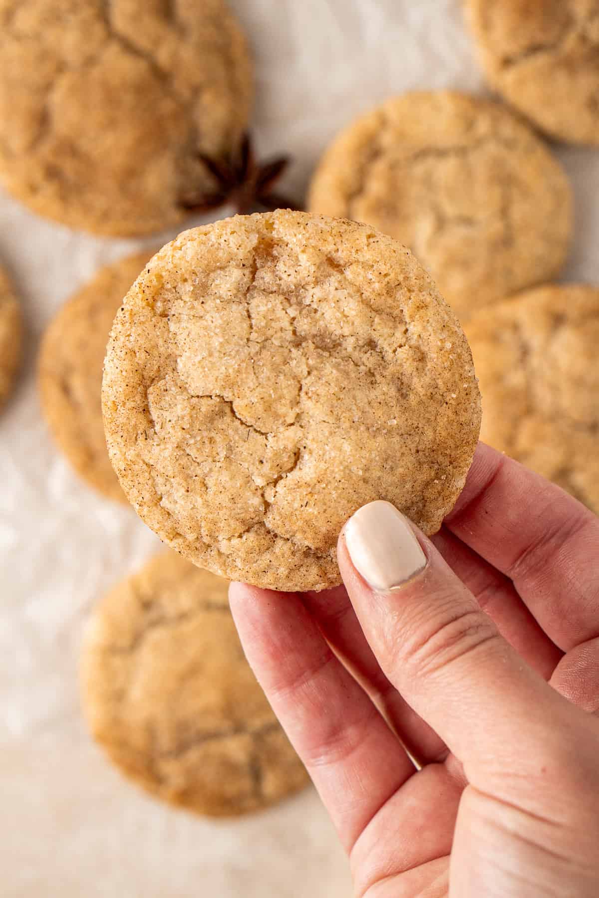 A hand holding a chai spiced sugar cookie.