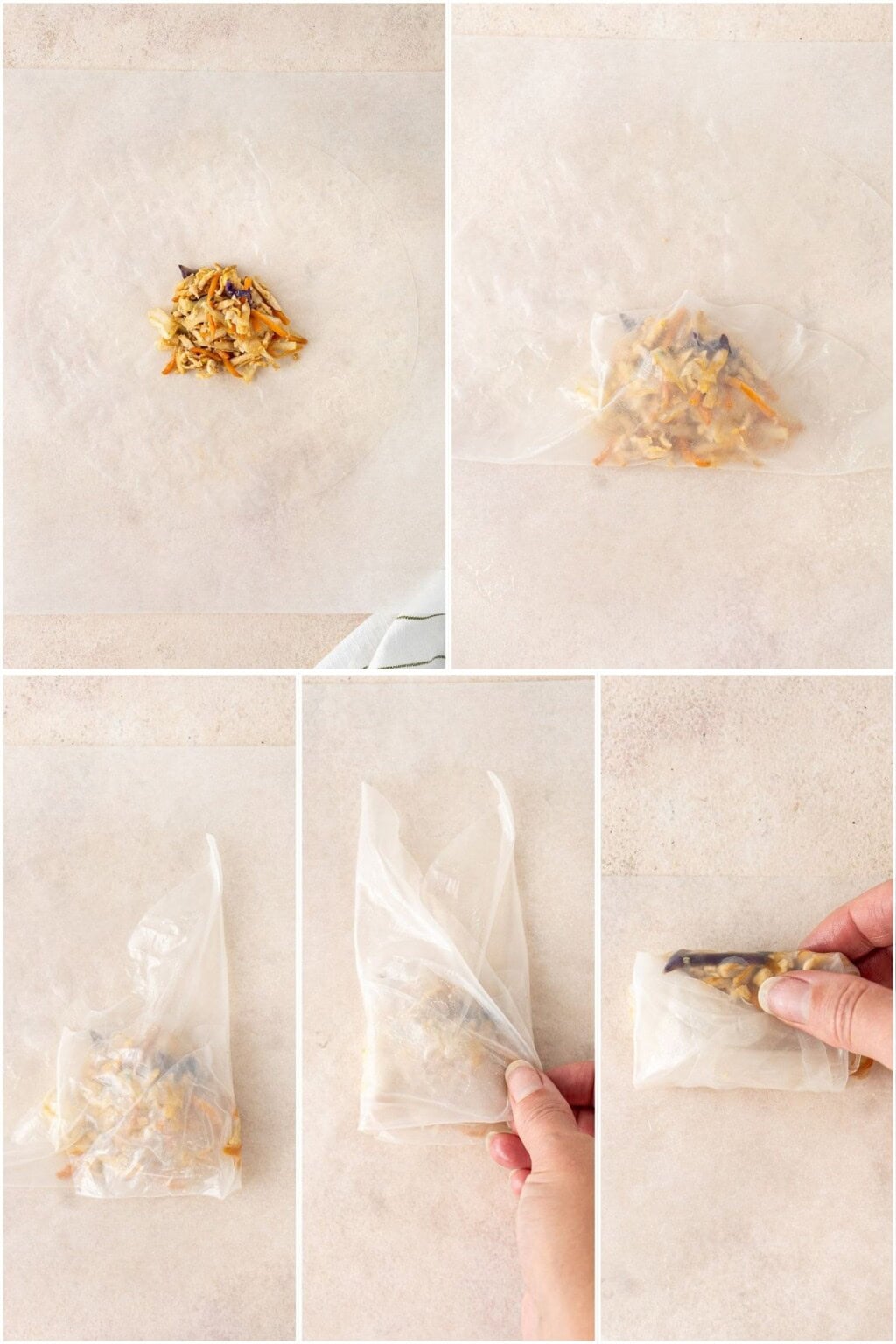 Crispy Rice Paper Dumplings - Eight Forest Lane