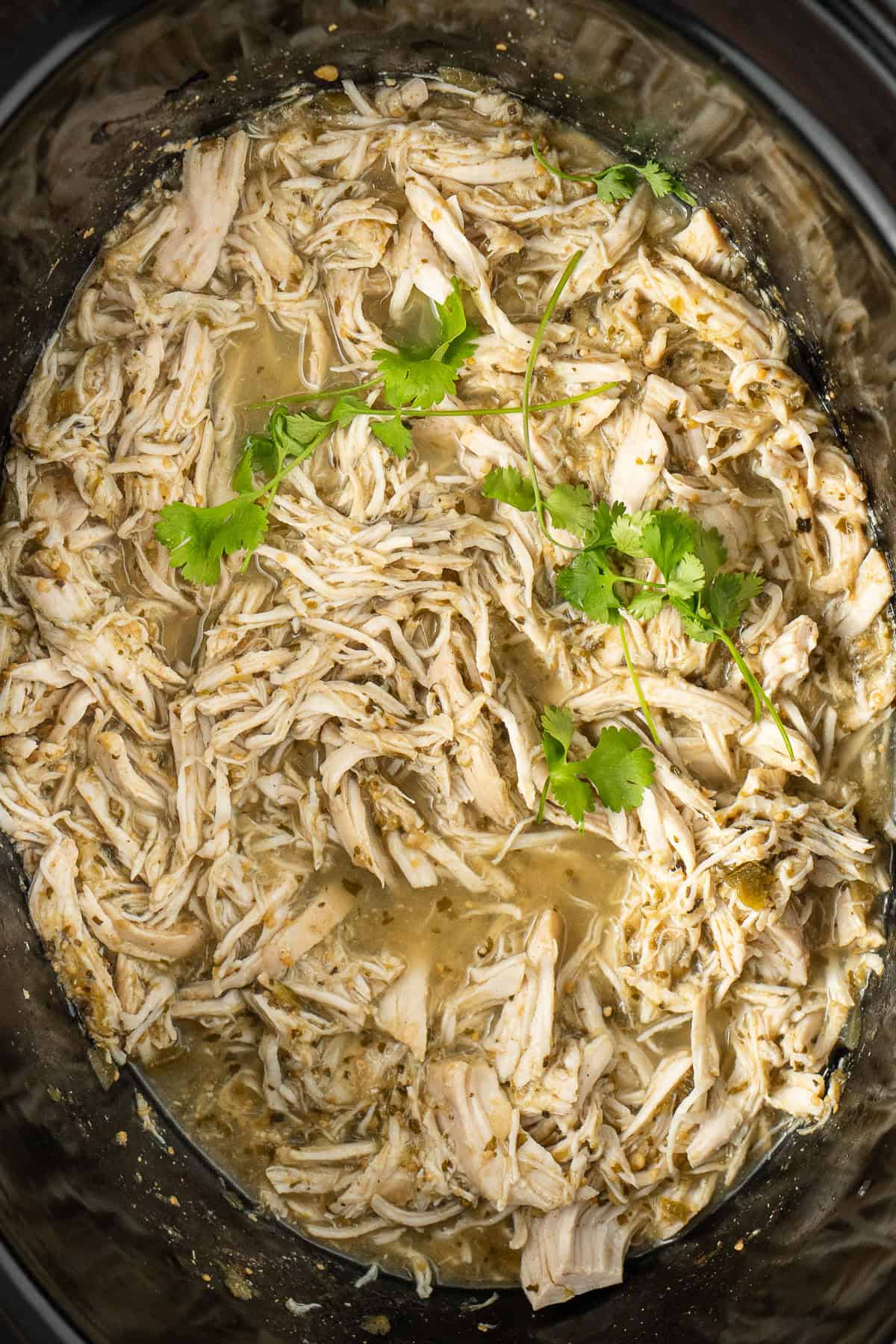 Close up of shredded chicken in the slow cooker with salsa verde and fresh cilantro.