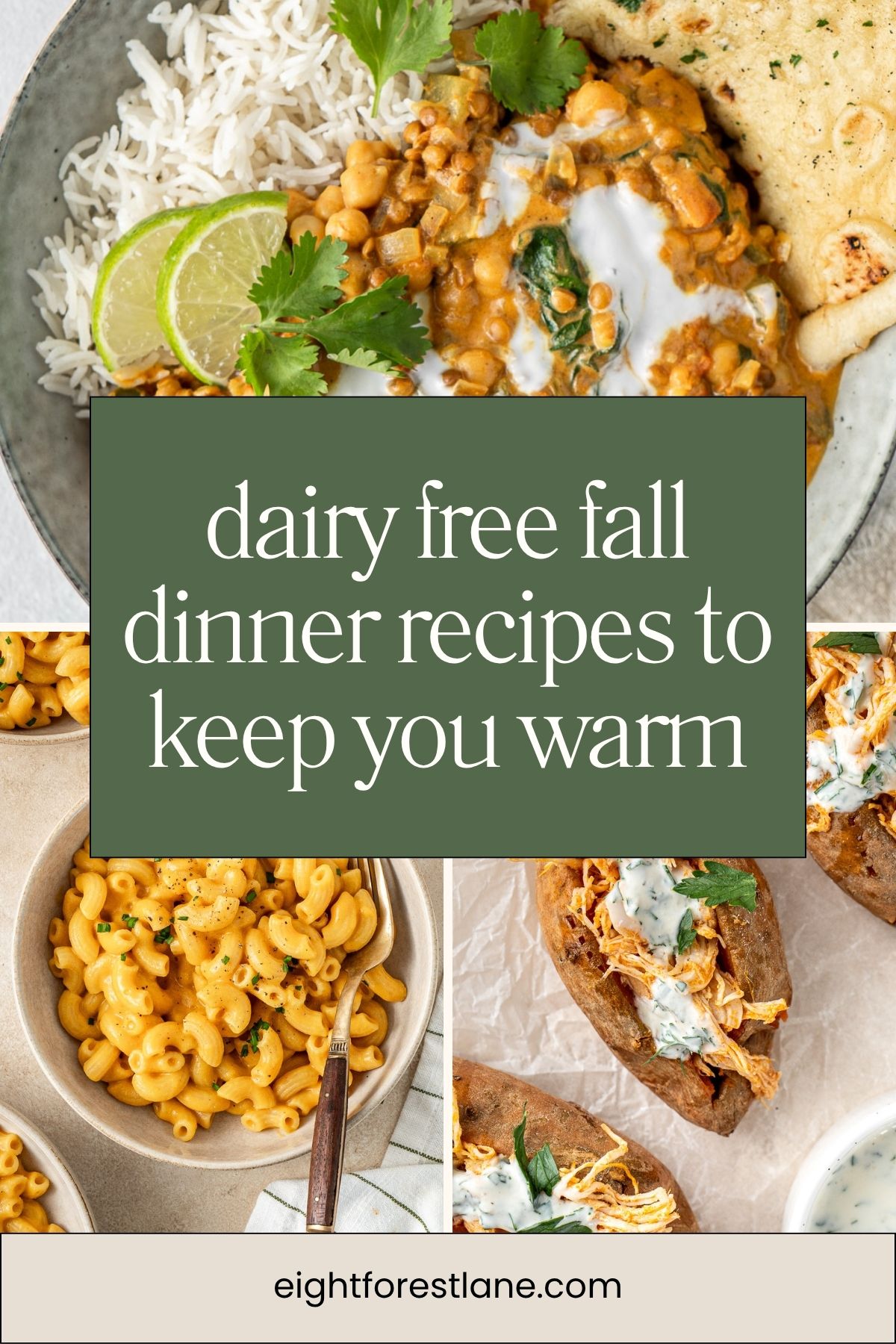 Dairy free fall dinner recipes.